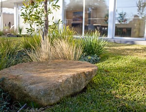 Coastal Landscape Project – Brighton – Ploterra - Landscape Design and Construction